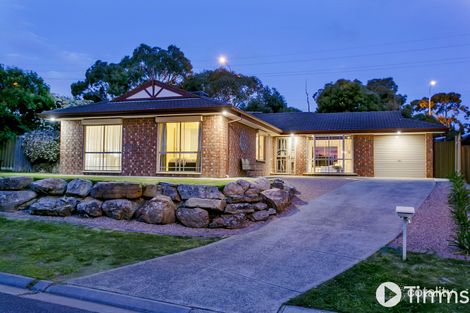 41 Muscatel Cct, Old Reynella, SA 5161