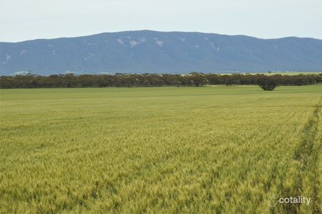 1114 Booleroo Rd, Booleroo Centre, SA 5482