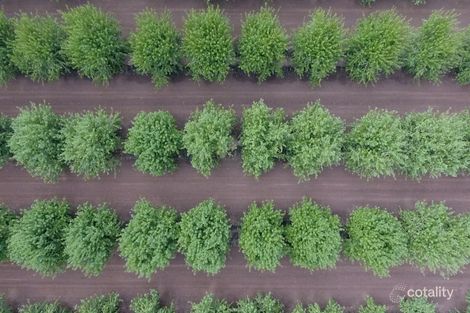 390 Evans Rd, Bilbul, NSW 2680