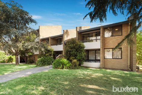 19/1072 Whitehorse Rd, Box Hill, VIC 3128