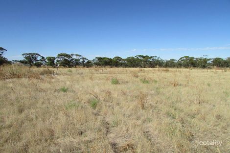 Property photo of 24 Anderson Avenue Berriwillock VIC 3531