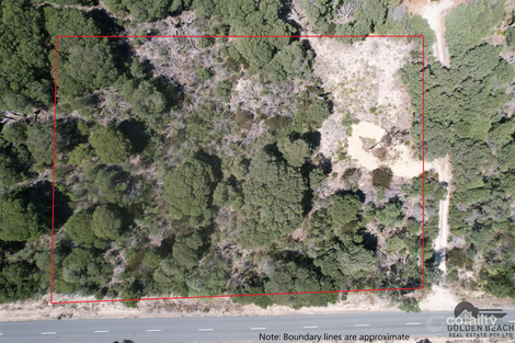 Property photo of 1591 Shoreline Drive Glomar Beach VIC 3851