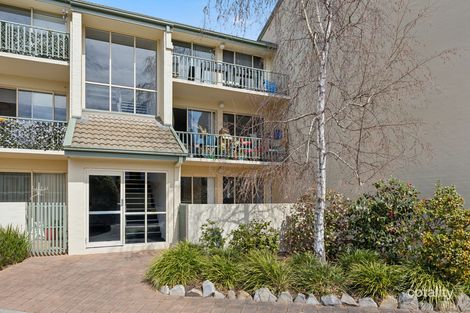 Property photo of 13/4 Antis Street Phillip ACT 2606