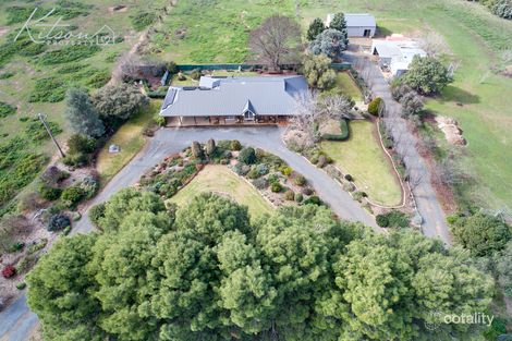 Property photo of 13 Norman Duck Avenue San Isidore NSW 2650