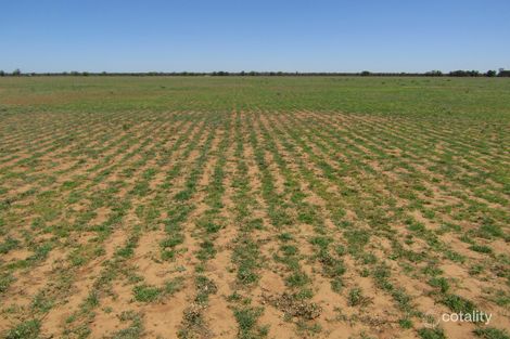 715 Squires Lane, Gwabegar, NSW 2356