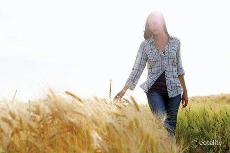 8 Mclaren St, Evanston Gardens, SA 5116