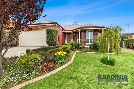 17 Victory Way, Highton, VIC 3216