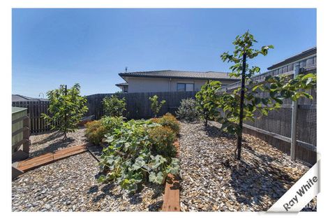 Property photo of 34 Wunderly Circuit Macgregor ACT 2615