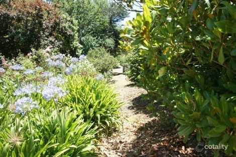 Property photo of 4 Osterley Avenue Bridgewater SA 5155