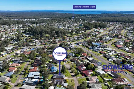 Property photo of 19 Mountain Ash Close Medowie NSW 2318