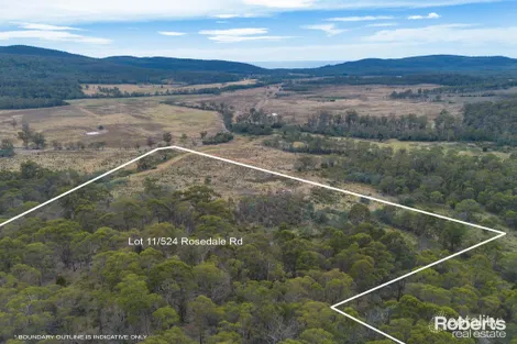 Property photo of 13/524 Rosedale Road Bicheno TAS 7215