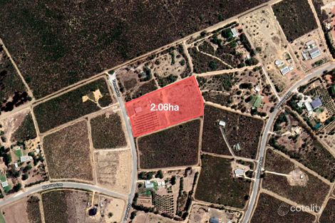 Property photo of 11 Tamarisk Drive Gabbadah WA 6041