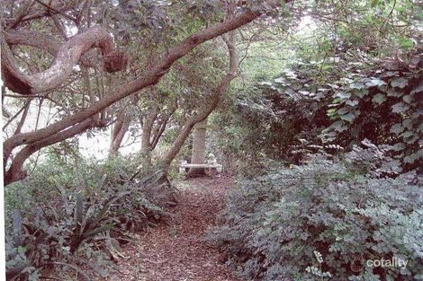 Property photo of 14 Charles Street McCrae VIC 3938