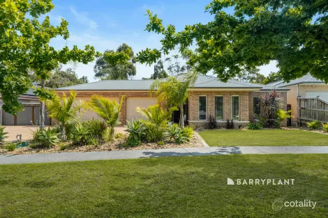 11 Lemon Tree Lane, Narre Warren North, VIC 3804