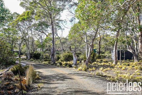 3 Wilkies Ct, Doctors Point, TAS 7304