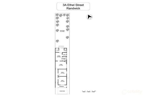 Property photo of 3A Ethel Street Randwick NSW 2031