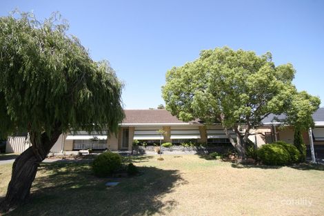 23 Lindfield Ave, Novar Gardens, SA 5040