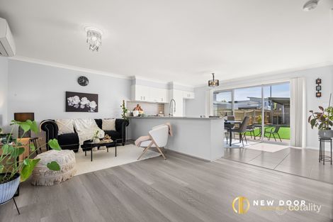 Property photo of 45 Donald Horne Circuit Franklin ACT 2913