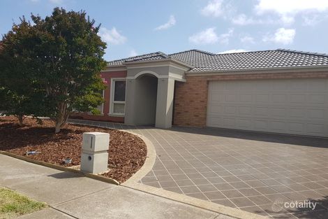 46 Bergamot Dr, Point Cook, VIC 3030