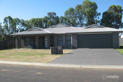 Property photo of 53 Sommerfeld Crescent Chinchilla QLD 4413