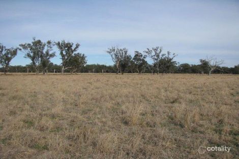 Property photo of 3173B Wambianna Road Warren NSW 2824