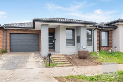 19 Miandad St, Rockbank, VIC 3335