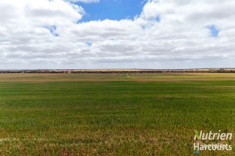 Property photo of 493 Honner Road Arthurton SA 5572