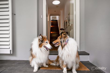 Property photo of 27 Figtree Avenue Randwick NSW 2031