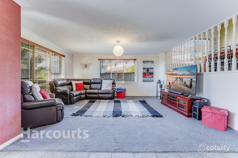 Property photo of 19 Spoonbill Way Mount Annan NSW 2567