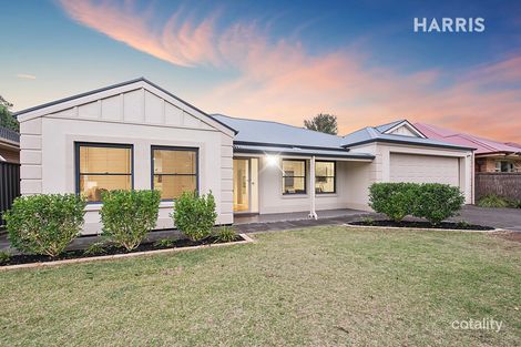 19 Mclachlan Ave, Glenelg North, SA 5045