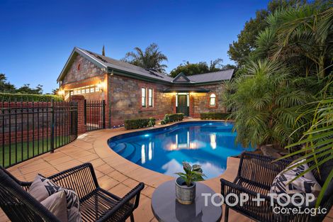 Property photo of 61 McDonnell Avenue West Hindmarsh SA 5007