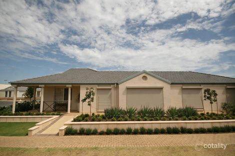 31 Chittleborough Cct, Morphettville, SA 5043