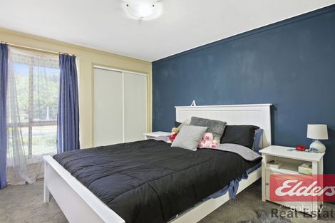 16 Birch Ct, Oxenford, QLD 4210