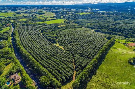 1424 Bangalow Rd, Clunes, NSW 2480