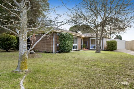 67 Robertson Dr, Mornington, VIC 3931