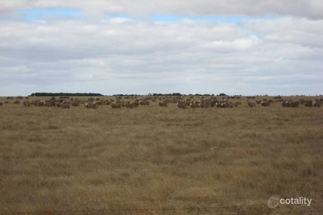 4284 Hamilton-Chatsworth Rd, Nareeb, VIC 3293