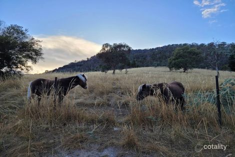Property photo of 586 Back River Road Magra TAS 7140