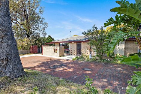 Property photo of 37 Seaflower Crescent Craigie WA 6025