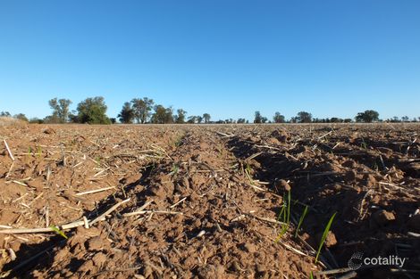 2260 Clear Ridge Rd, Lake Cowal, NSW 2671