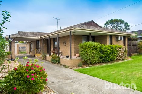 11 Stork Ave, Belmont, VIC 3216
