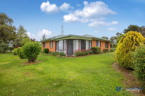 19 Tuberosa Rd, Saumarez, NSW 2350