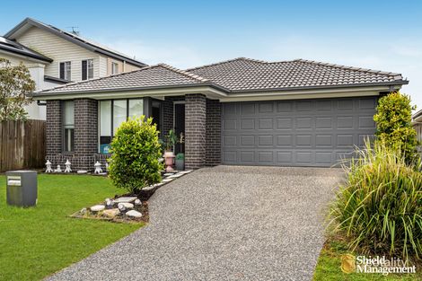 7 Mount Roberts St, Park Ridge, QLD 4125