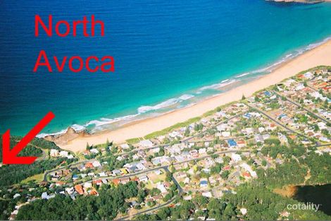 Property photo of 44 The Arena North Avoca NSW 2260