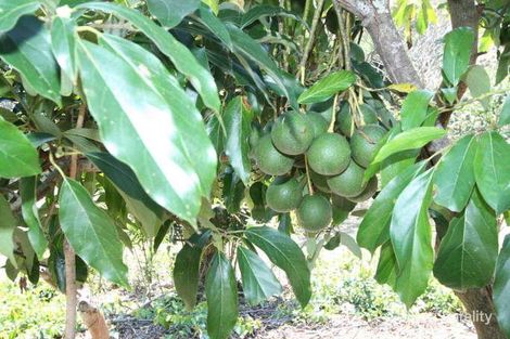 Property photo of 918 Beechmont Road Lower Beechmont QLD 4211