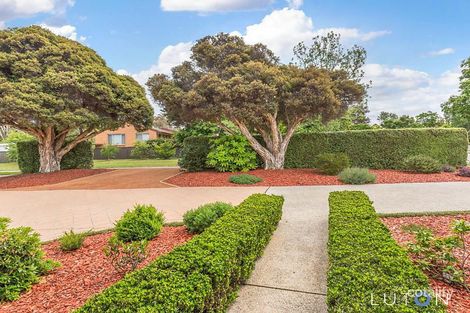 Property photo of 13B Liverpool Street Macquarie ACT 2614