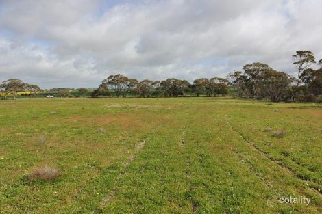 Lot 50 Chandler-Merredin Rd, Merredin, WA 6415