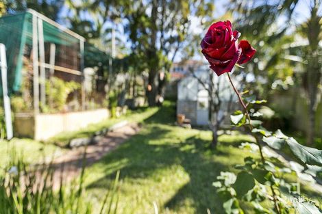 Property photo of 111 West Street Balgowlah NSW 2093