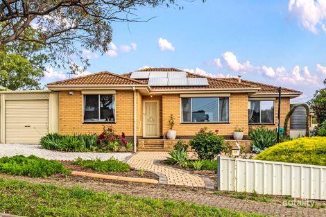 Property photo of 61 Dewer Avenue Ridgehaven SA 5097