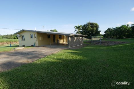 Property photo of 7 Threadingham Road Silkwood QLD 4856