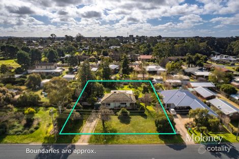 42 Gallipoli St, Corowa, NSW 2646
